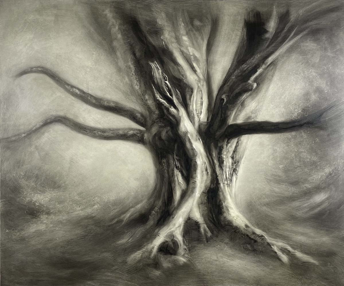Tree Drawing Renaissance Haddon Hall - SOLD OUT Drawing Ancient Trees Workshop with Tansy Lee Moir